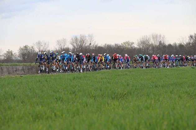 Peloton